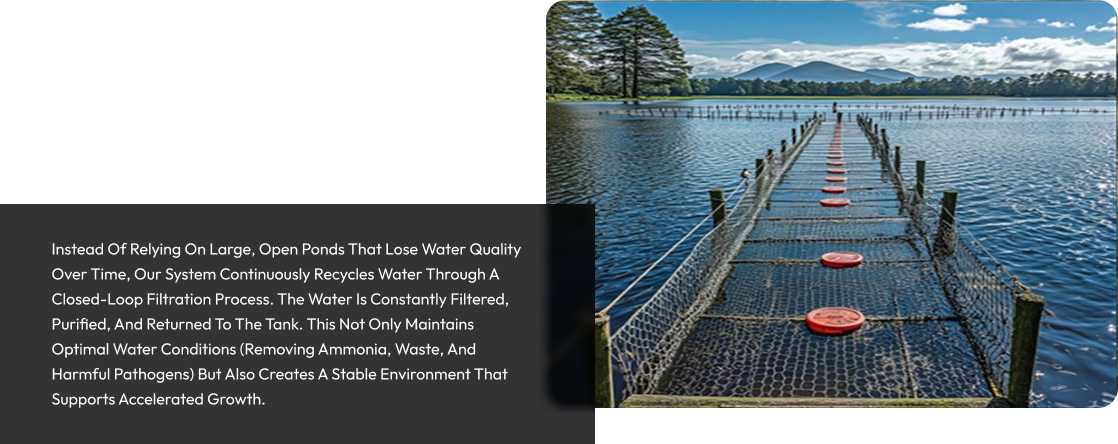 Optimized Tank Geometry