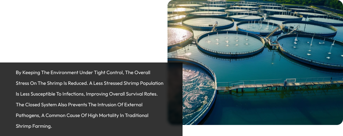 Optimized Tank Geometry