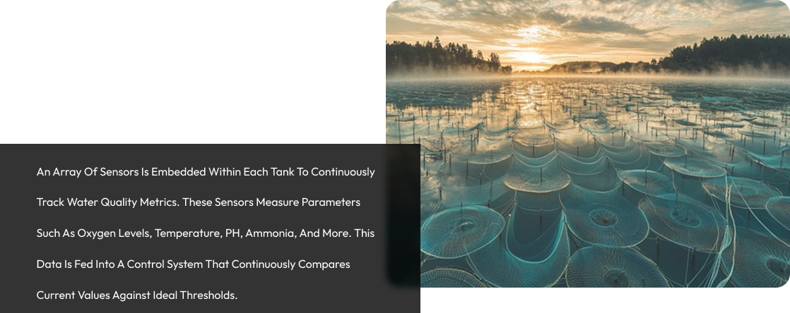 Optimized Tank Geometry